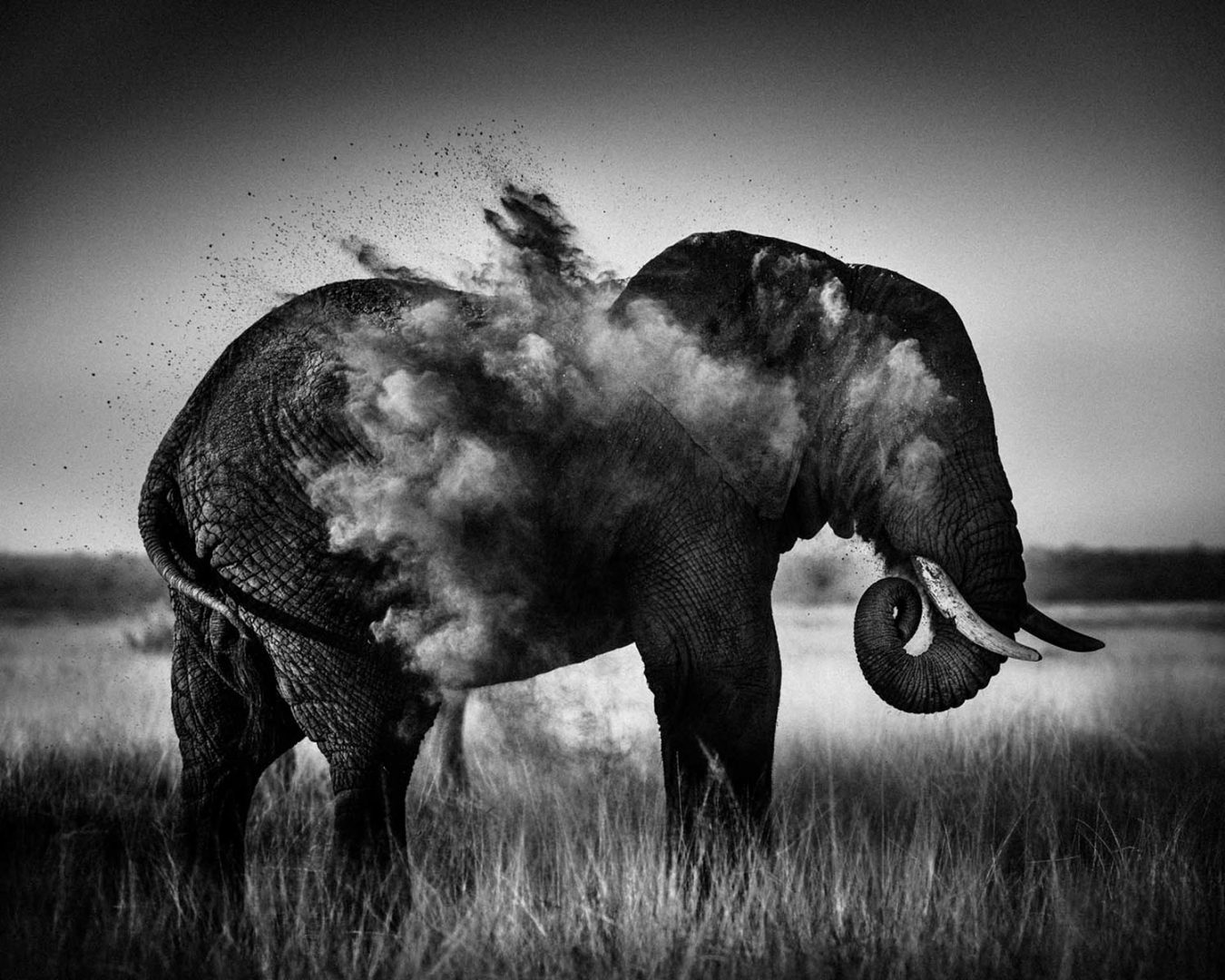 Laurent Baheux – Black and white Africa